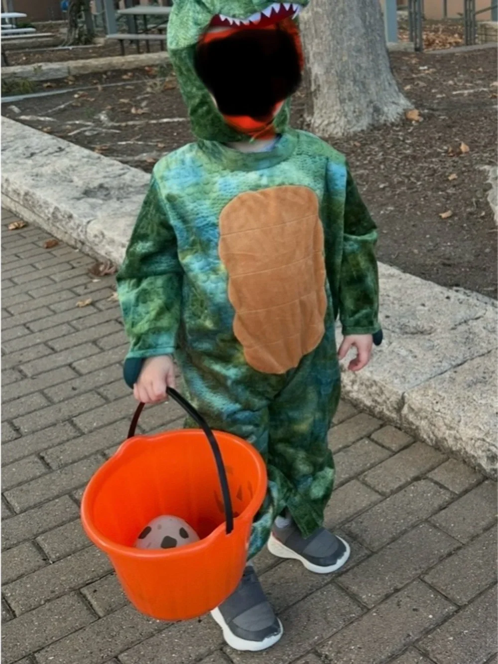 Green Turtle Kids Costume with Brown Shell Hooded Jumpsuit